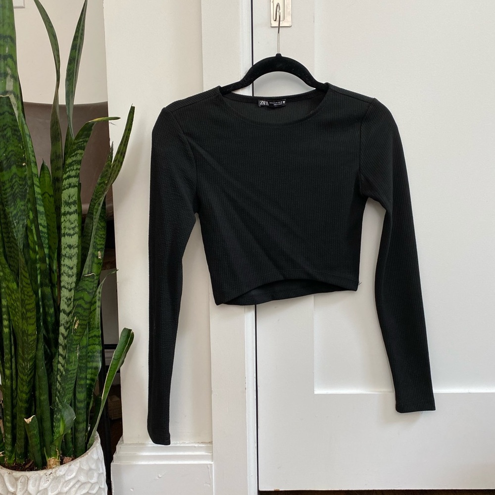 Zara Long-Sleeve Crop